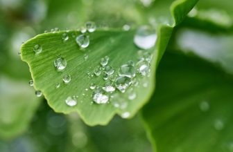 De filosofie achter Kevin Murphy: duurzaamheid en milieuvriendelijkheid